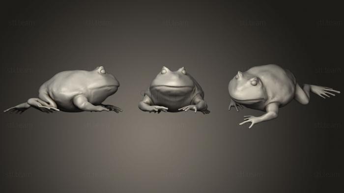 3D model frog 01 (STL)